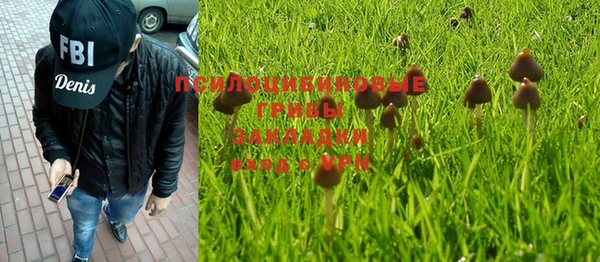 первитин Балахна