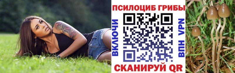 блэк спрут ONION  Козьмодемьянск  площадка состав  Галлюциногенные грибы ЛСД 