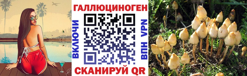 Псилоцибиновые грибы Psilocybe Козьмодемьянск